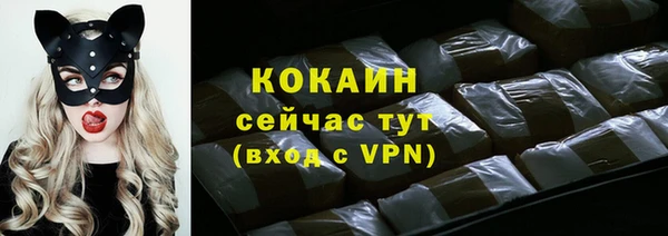 spice Алзамай